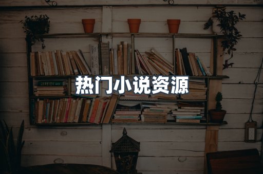 热门小说资源